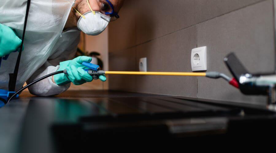 Why choose WNR Parrottsville for wasp nest removal in Parrottsville